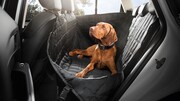 Защитная накидка Audi на заднее сиденье