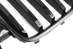 Черная решетка радиатора BMW X7 G07 LCI